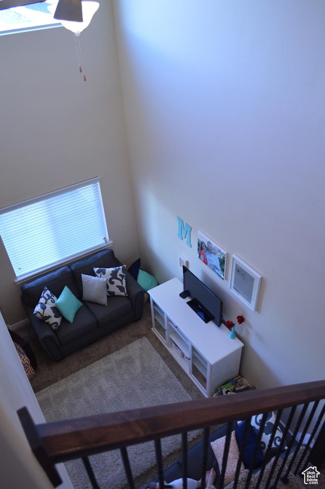 view of carpeted living room