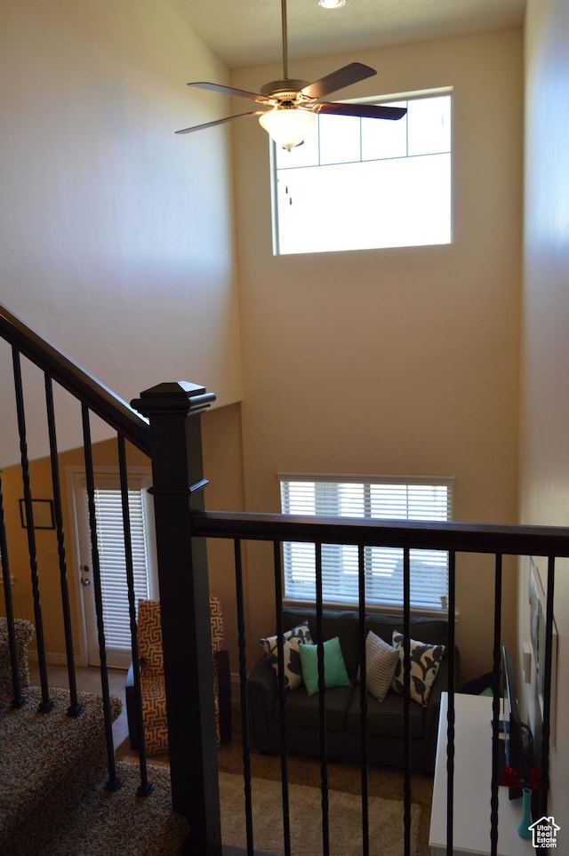 stairway with a ceiling fan and carpet