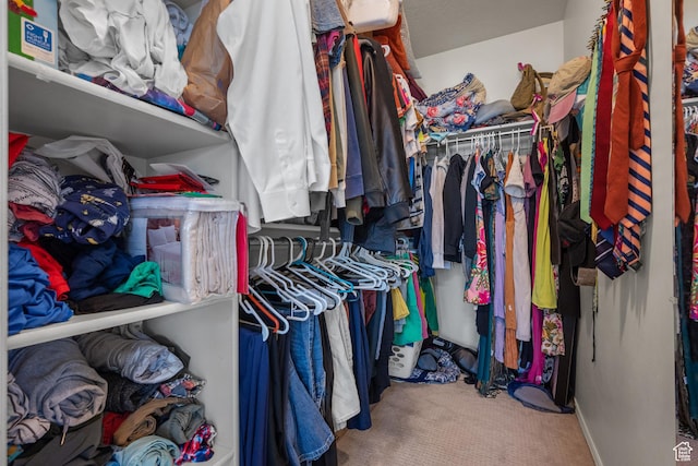 walk in closet with carpet floors