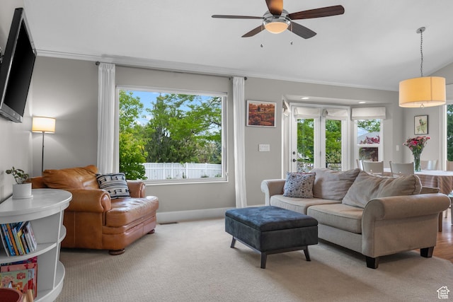 living area featuring crown molding, plenty of natural light, a ceiling fan, baseboards, and carpet floors