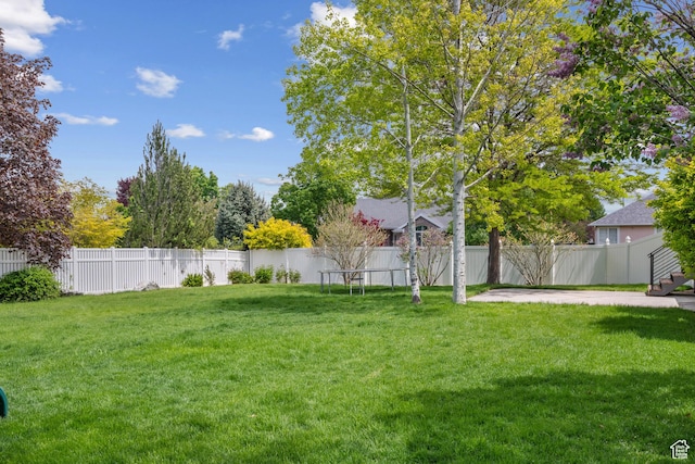 view of yard featuring a patio