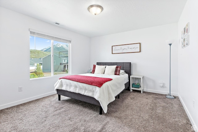 895 S Brubaker Way, Santaquin, UT 84655 - bedroom with carpet and baseboards