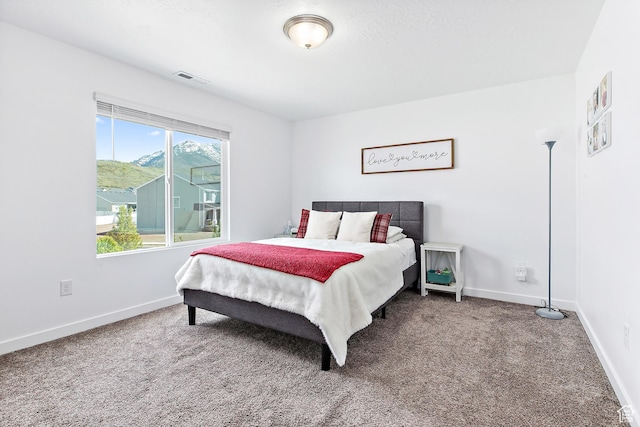 895 S Brubaker Way, Santaquin, UT 84655 - carpeted bedroom with baseboards