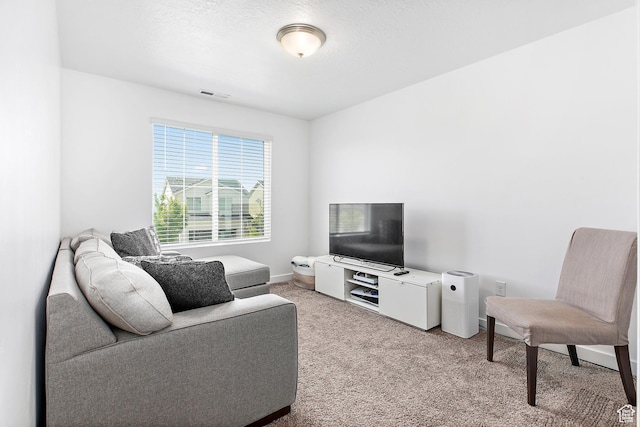 895 S Brubaker Way, Santaquin, UT 84655 - living area with light colored carpet and baseboards