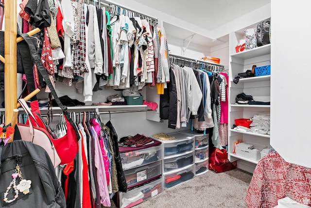 895 S Brubaker Way, Santaquin, UT 84655 - spacious closet featuring carpet flooring