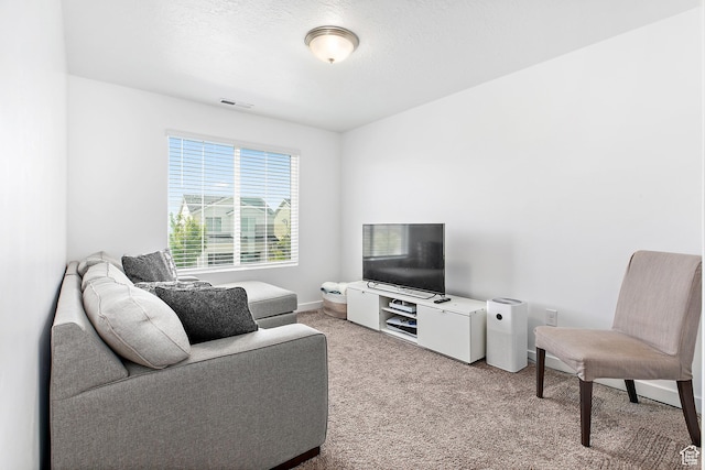 895 S Brubaker Way, Santaquin, UT 84655 - carpeted living room with baseboards
