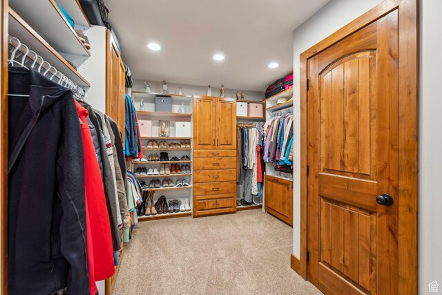 3321 W Big Spruce Way Unit E54, Park City, UT 84098 - spacious closet featuring light carpet