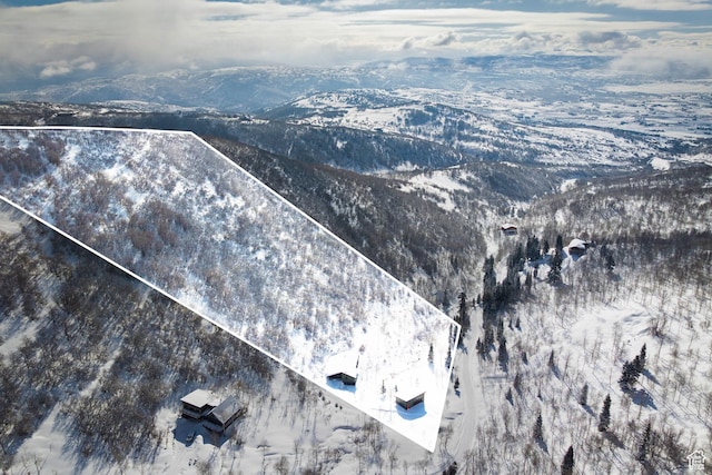 10256 N Basin Canyon Rd, Park City, UT 84098 - photo 46