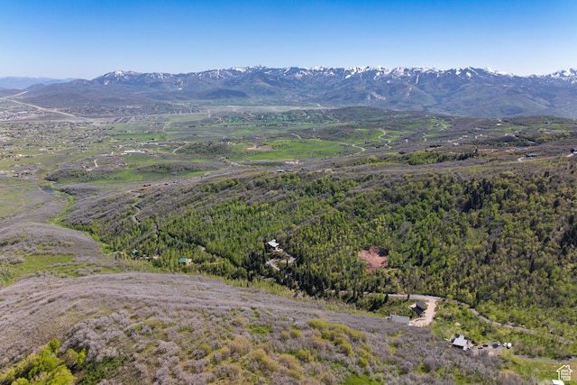10256 N Basin Canyon Rd, Park City, UT 84098 - aerial view of property and surrounding area with a mountainous background and a forest