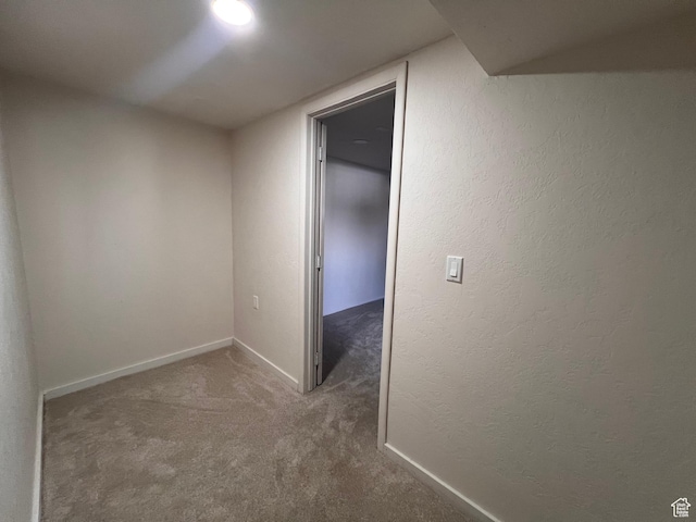 additional living space with carpet and baseboards