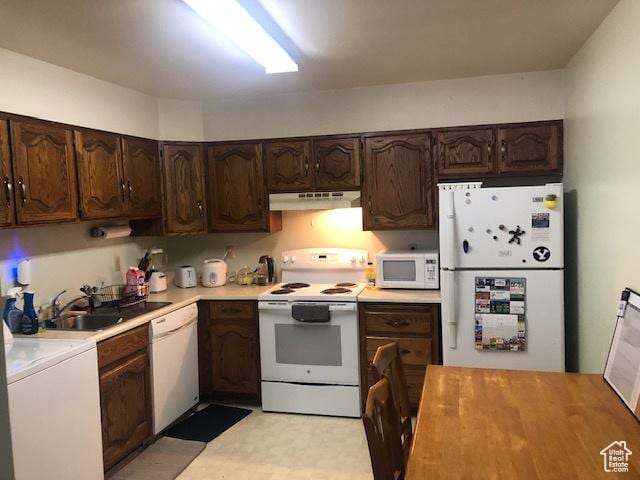 kitchen featuring white appliances, under cabinet range hood, light countertops, and dark brown cabinetry