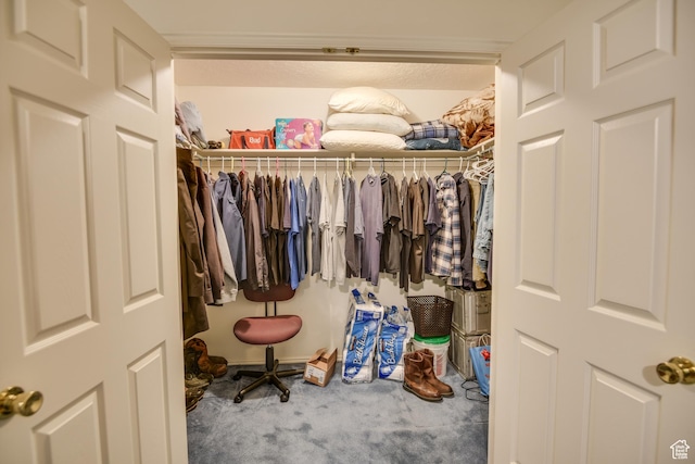 view of closet