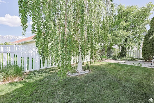 1660 E 900 S Unit 29, Clearfield, UT 84015 - view of yard