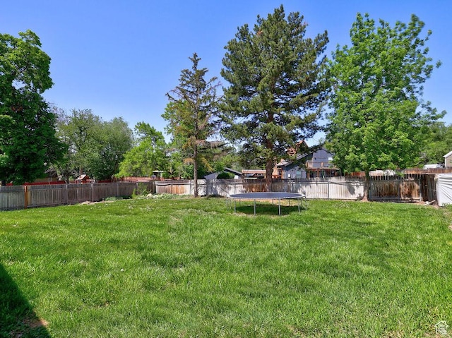 view of yard featuring a trampoline