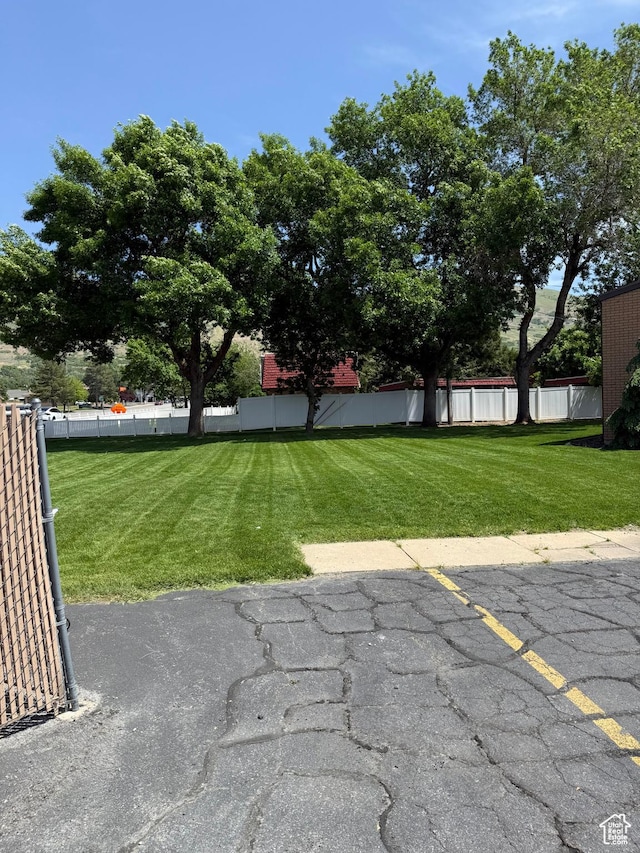 view of yard