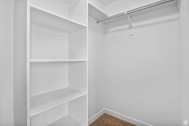 834 W Shelton Way, Midvale, UT 84047 - spacious closet with dark colored carpet
