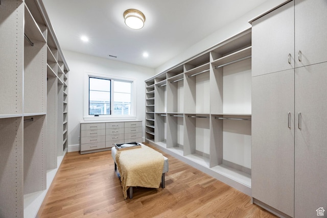 spacious closet with light wood-type flooring