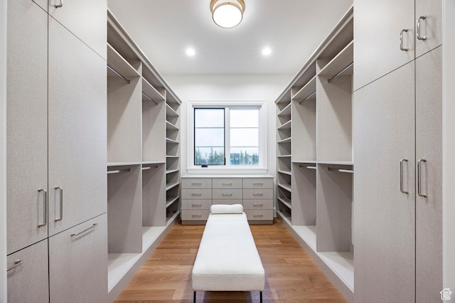 spacious closet featuring light wood-type flooring