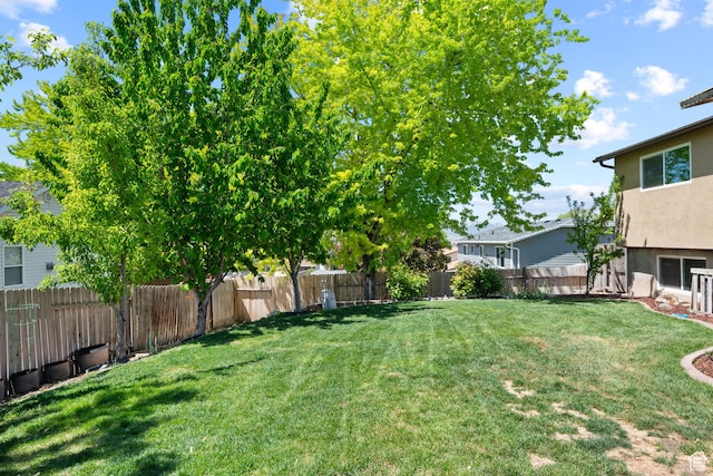 view of yard