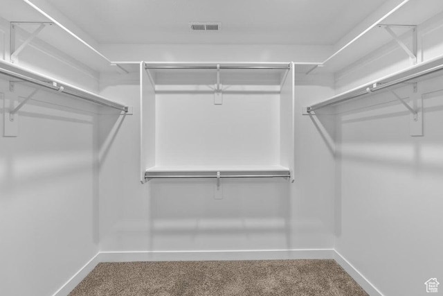1448 S Staircase Way Unit 4099, Washington, UT 84780 - walk in closet with carpet flooring