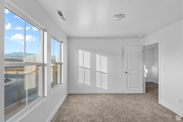 1448 S Staircase Way Unit 4099, Washington, UT 84780 - empty room featuring carpet flooring and baseboards