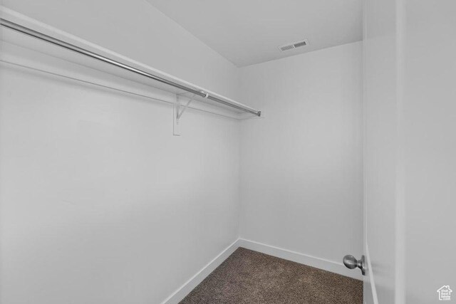 1448 S Staircase Way Unit 4099, Washington, UT 84780 - spacious closet with dark carpet