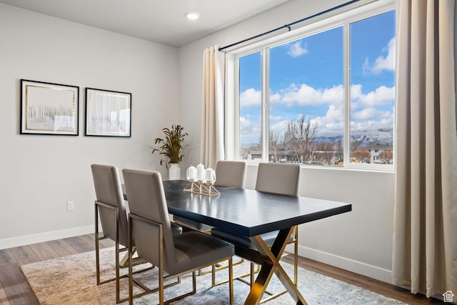 dining space featuring baseboards, wood finished floors, and recessed lighting