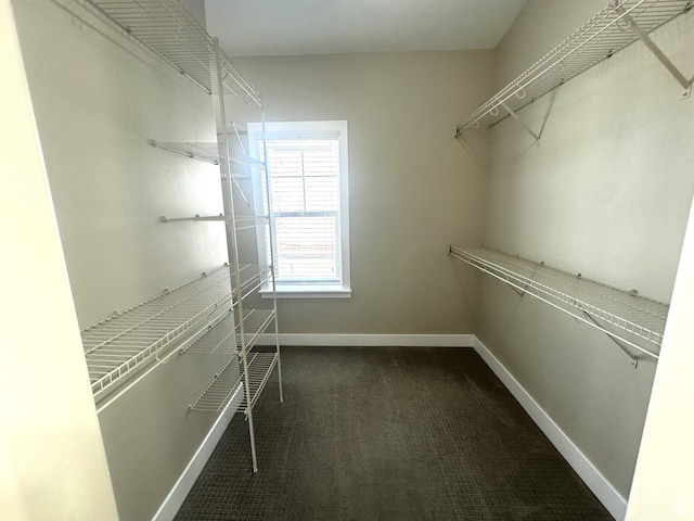 5516 W Florence Ln N, Highland, UT 84003 - spacious closet featuring dark carpet