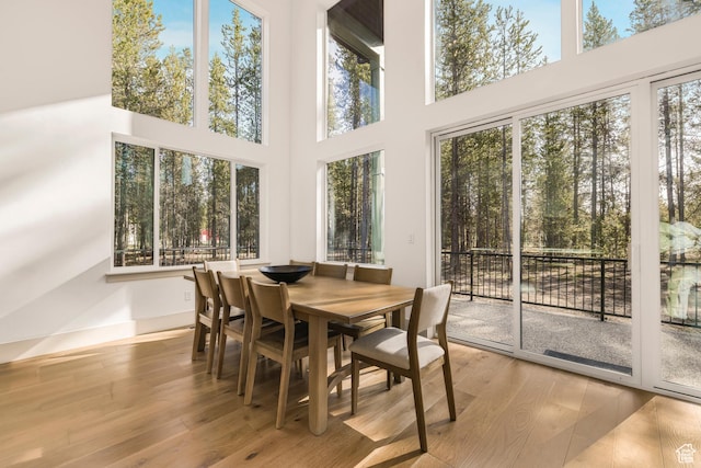 3949 Cowan Rd, Island Park, ID 83429 - photo 8