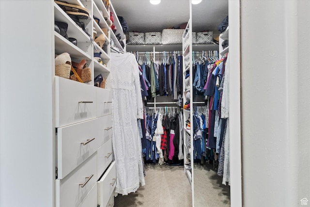 spacious closet featuring carpet floors