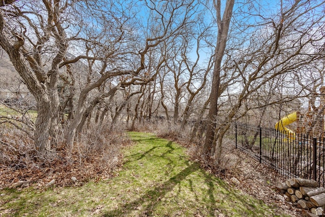 view of local wilderness