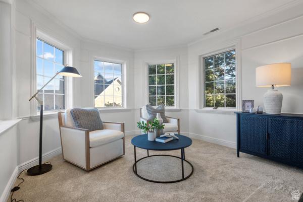 441 N Palisades Dr, Orem, UT 84097 - sitting room with crown molding and carpet