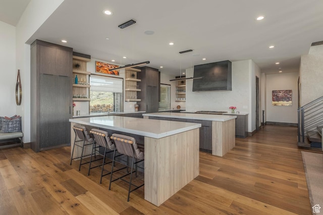 kitchen featuring open shelves, a large island, modern cabinets, exhaust hood, and wood finished floors