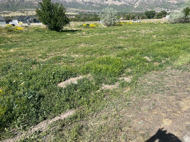 2700 N 600 W, Pleasant View, UT 84414 - photo 6