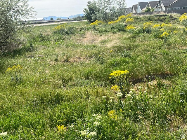 2700 N 600 W, Pleasant View, UT 84414 - photo 8