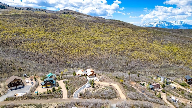 9174 Deer Creek Dr, Heber City, UT 84032 - drone / aerial view of a forest and a mountainous background