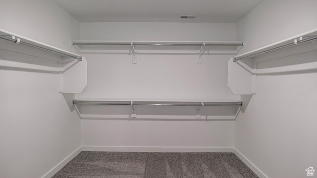 5488 N Trailside Unit 431, Eagle Mountain, UT 84005 - spacious closet with carpet