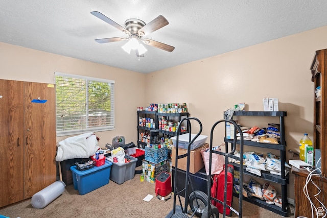 storage area with ceiling fan