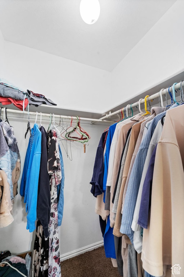 walk in closet with carpet