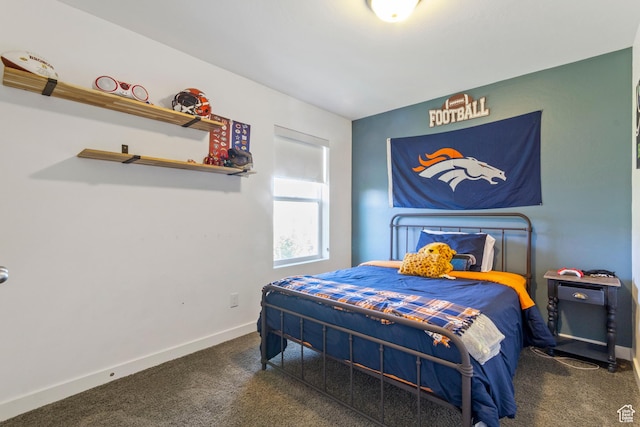 10243 S Silver Mine Rd W, South Jordan, UT 84009 - bedroom featuring carpet floors and baseboards