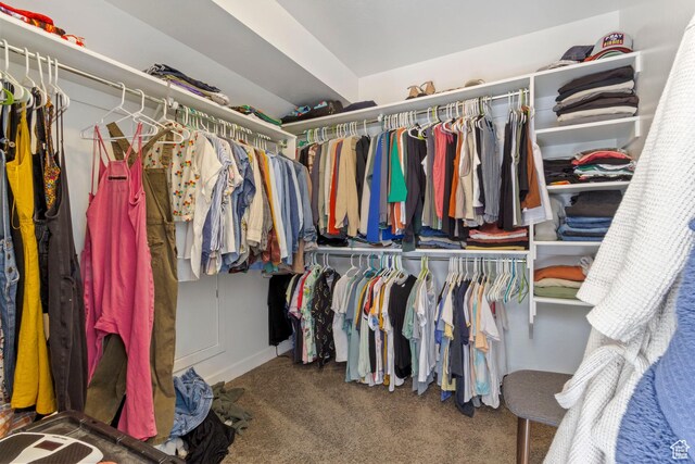 10243 S Silver Mine Rd W, South Jordan, UT 84009 - spacious closet featuring carpet