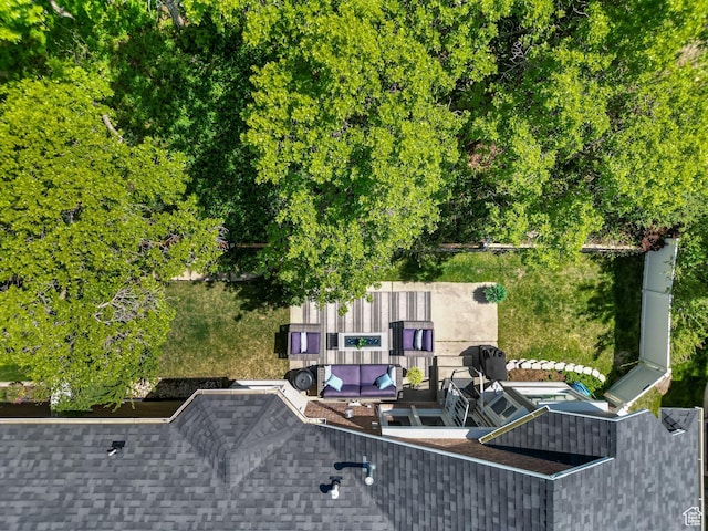 bird's eye view
