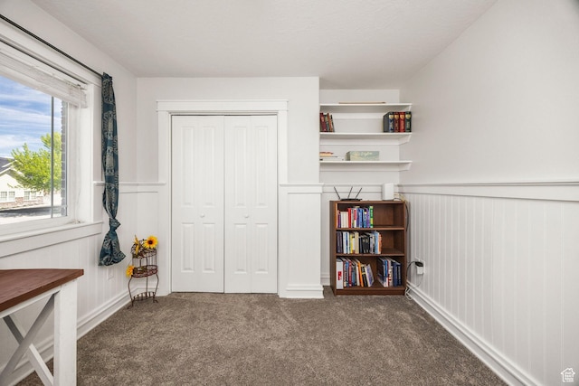 bedroom featuring carpet flooring, wainscoting, a closet, and a decorative wall