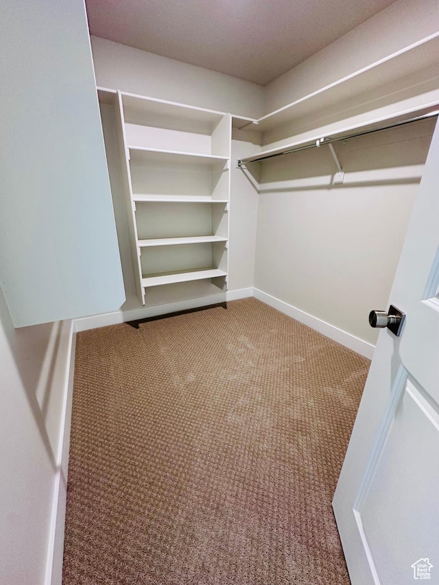 566 W 1860 N, Tooele, UT 84074 - walk in closet with carpet floors