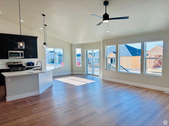 566 W 1860 N, Tooele, UT 84074 - kitchen with stainless steel appliances, dark cabinets, a textured ceiling, lofted ceiling, and ceiling fan