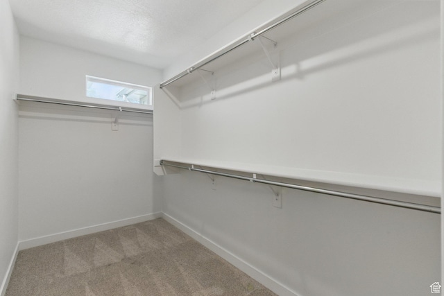 spacious closet with carpet