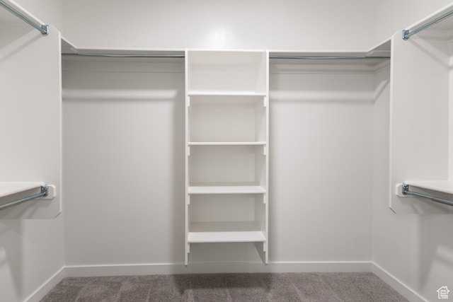 3786 S 4250 W Unit 427, West Haven, UT 84401 - spacious closet featuring carpet