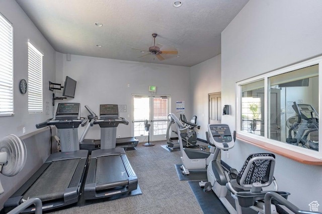 gym featuring ceiling fan and carpet