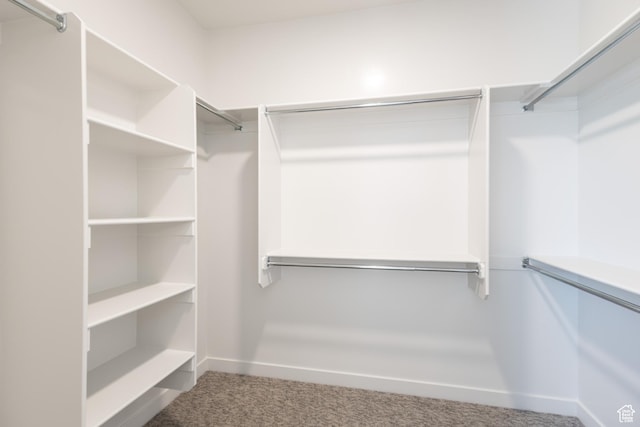 3573 W 725 S Unit 106, West Weber, UT 84401 - spacious closet with carpet floors
