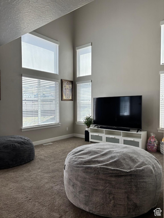 4317 W Quiet Shade Dr, Herriman, UT 84096 - bedroom with carpet, baseboards, and a towering ceiling